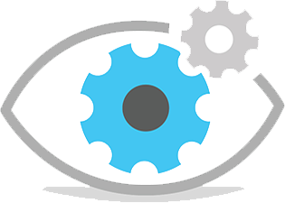 Vision