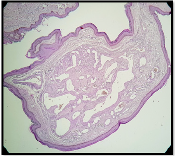 Biomedical Science &, Research Biomedical Science &, Research