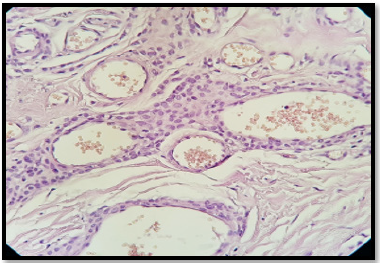 Biomedical Science &, Research Biomedical Science &, Research