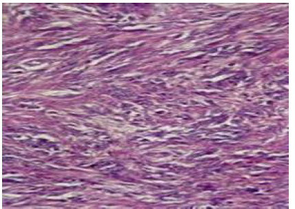 Biomedical Science &, Research Biomedical Science &, Research