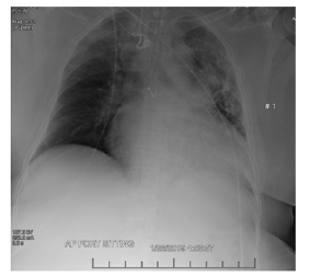 Biomedical Science &, Research Biomedical Science &, Research