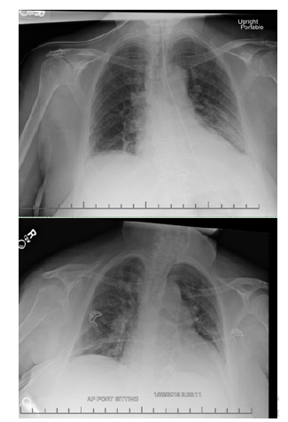 Biomedical Science &, Research Biomedical Science &, Research