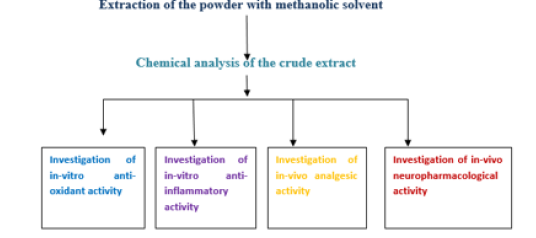 Biomedical Science &, Research Biomedical Science &, Research