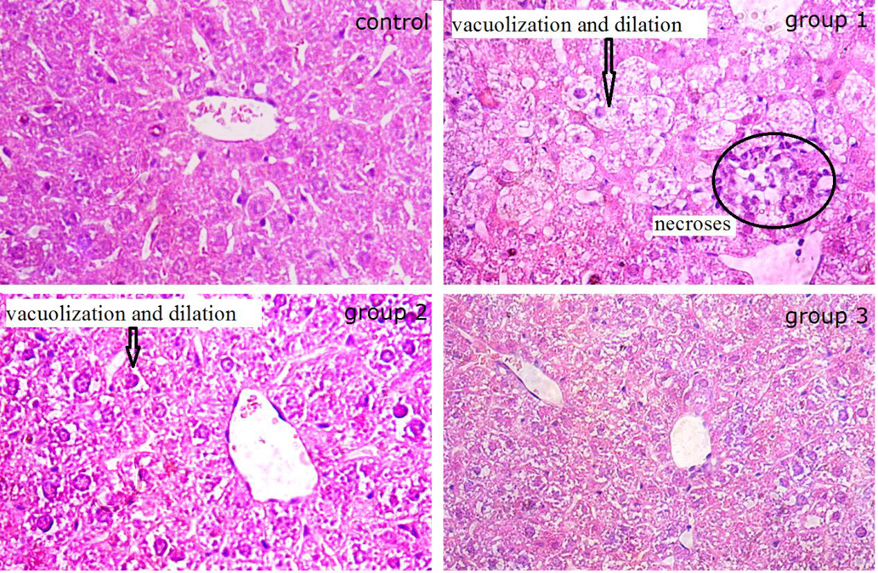Biomedical Science &, Research Biomedical Science &, Research