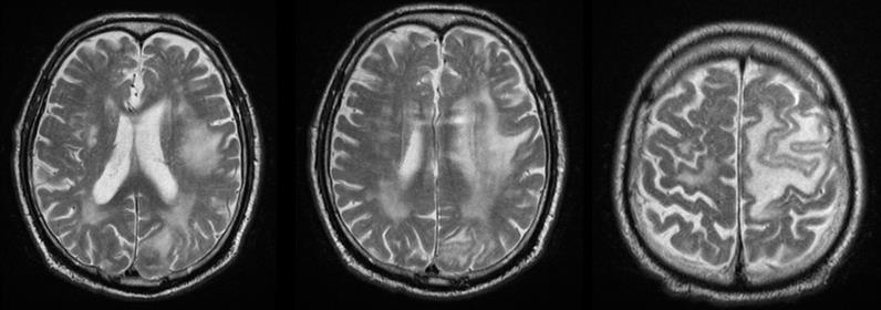 Biomedical Science &, Research Biomedical Science &, Research