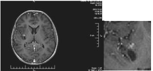 Biomedical Science &, Research Biomedical Science &, Research