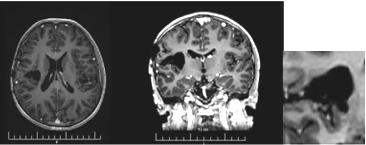 Biomedical Science &, Research Biomedical Science &, Research