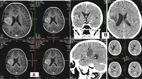 Biomedical Science &, Research Biomedical Science &, Research