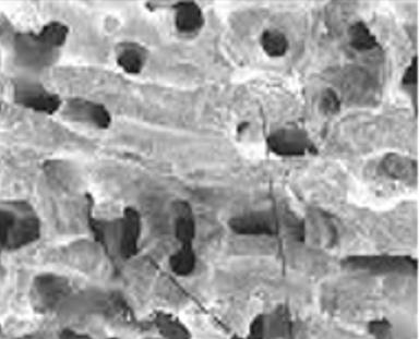 Biomedical Science &, Research Biomedical Science &, Research