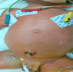 Biomedical Science &, Research Biomedical Science &, Research