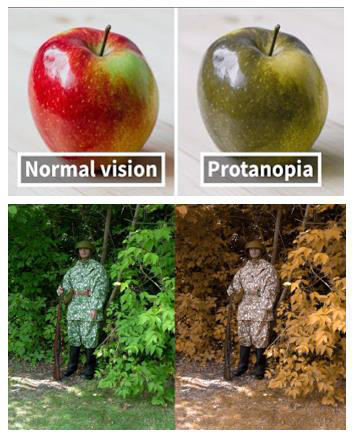 Biomedical Science &, Research Biomedical Science &, Research