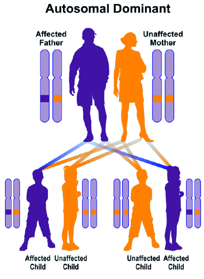 Biomedical Science &, Research Biomedical Science &, Research
