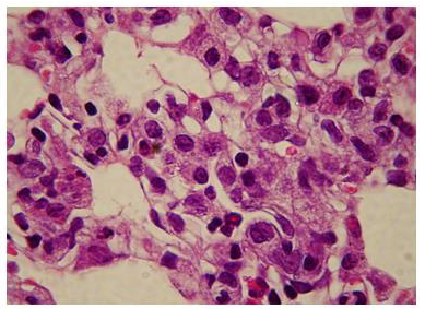 Biomedical Science &, Research Biomedical Science &, Research