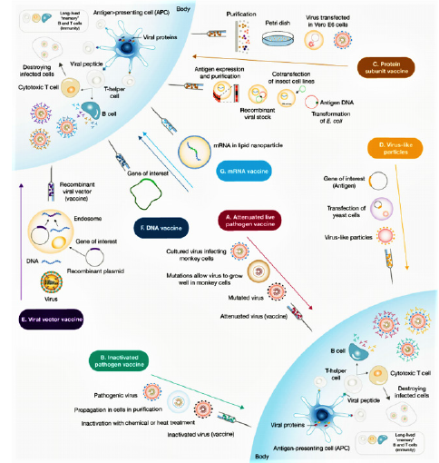 Biomedical Science &, Research Biomedical Science &, Research