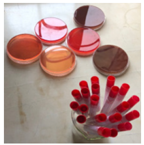 Biomedical Science &, Research Biomedical Science &, Research