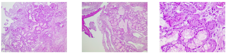 Biomedical Science &, Research Biomedical Science &, Research