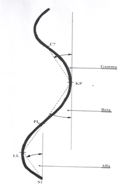 Biomedical Science &, Research Biomedical Science &, Research