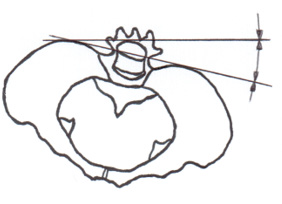 Biomedical Science &, Research Biomedical Science &, Research