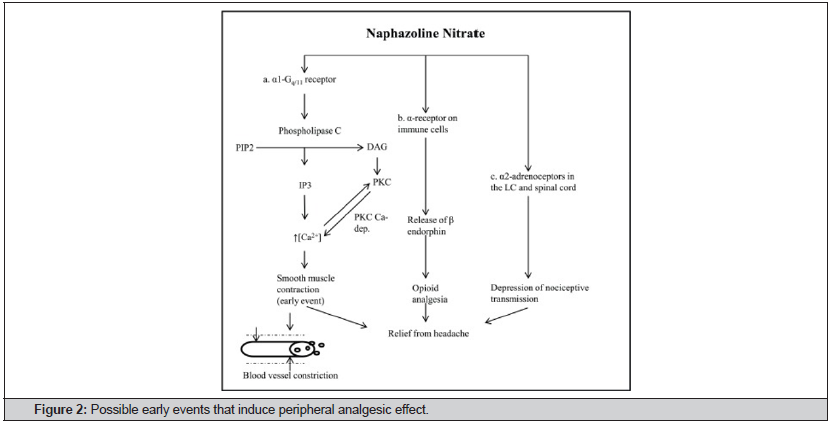 Biomedical Science & Research Biomedical Science & Research