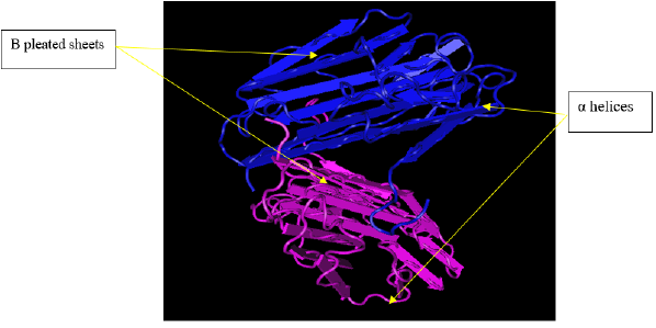 Biomedical Science & Research Biomedical Science & Research