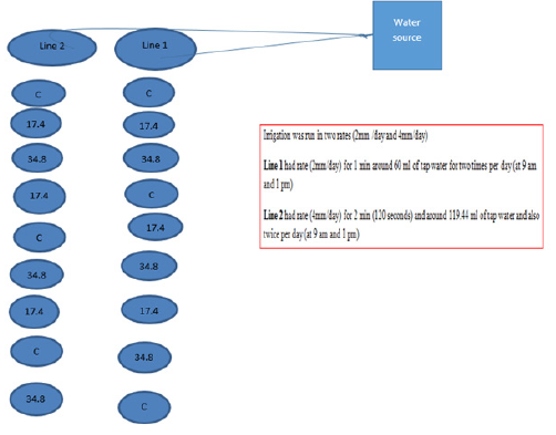 Biomedical Science & Research Biomedical Science & Research