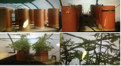 Biomedical Science & Research Biomedical Science & Research