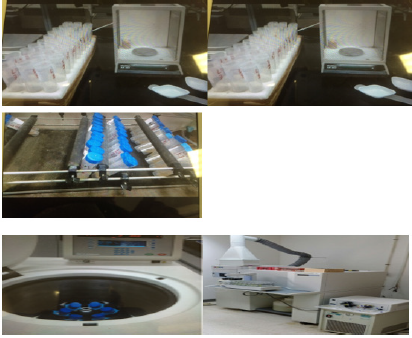 Biomedical Science & Research Biomedical Science & Research