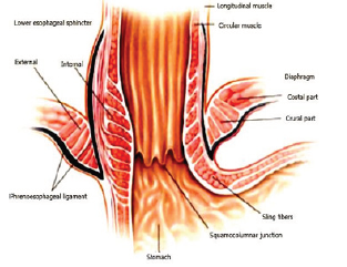 Biomedical Science & Research Biomedical Science & Research