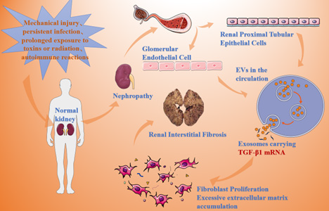 Biomedical Science &, Research Biomedical Science &, Research