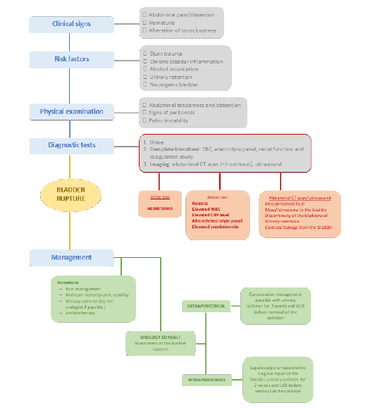 Biomedical Science &, Research Biomedical Science &, Research
