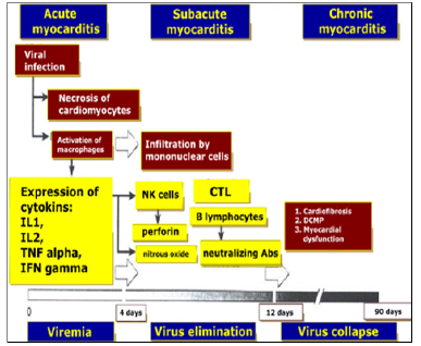 Biomedical Science &, Research Biomedical Science &, Research