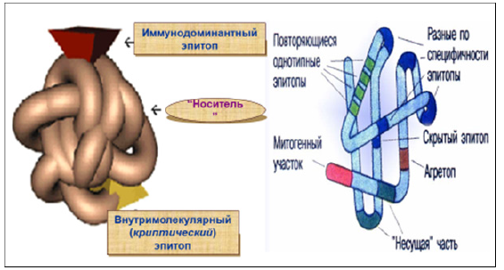 Biomedical Science &, Research Biomedical Science &, Research