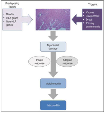 Biomedical Science &, Research Biomedical Science &, Research