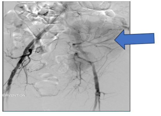 Biomedical Science &, Research Biomedical Science &, Research