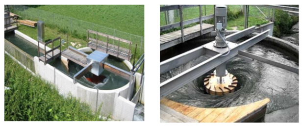 Biomedical Science &, Research Biomedical Science &, Research