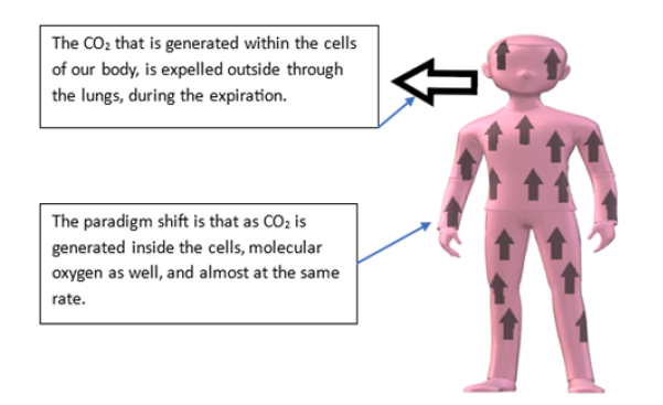 Biomedical Science &, Research Biomedical Science &, Research