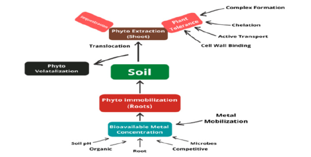 Biomedical Science &, Research Biomedical Science &, Research