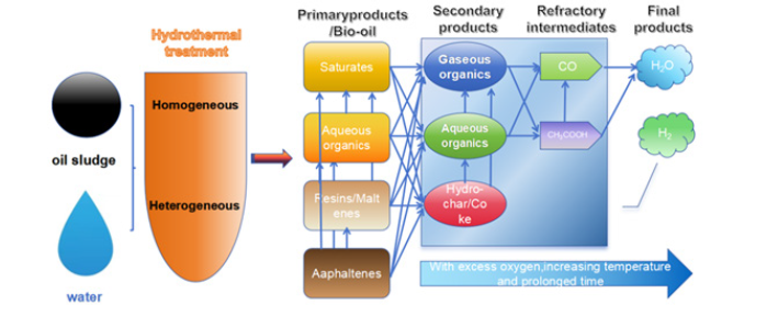 Biomedical Science &, Research Biomedical Science &, Research