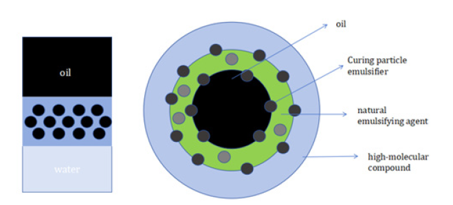 Biomedical Science &, Research Biomedical Science &, Research