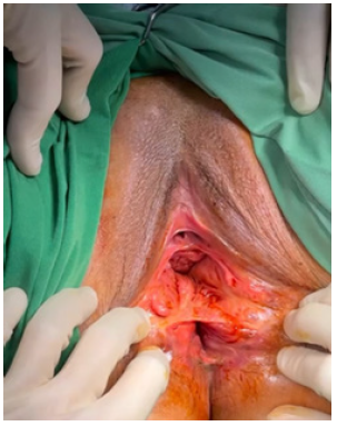 Biomedical Science &, Research Biomedical Science &, Research