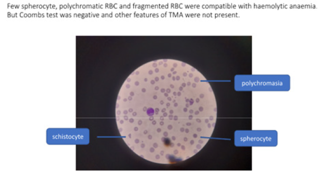 Biomedical Science &, Research Biomedical Science &, Research