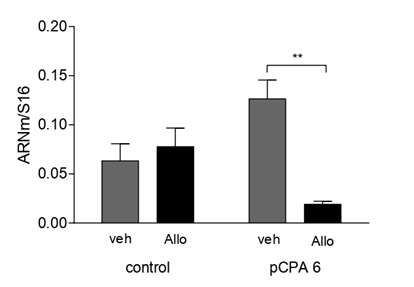Biomedical Science &, Research Biomedical Science &, Research