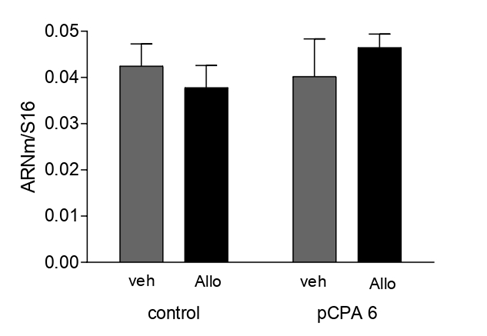 Biomedical Science &, Research Biomedical Science &, Research
