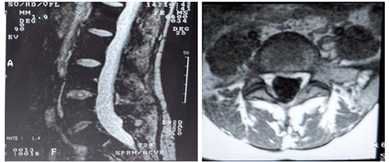 Biomedical Science &, Research Biomedical Science &, Research