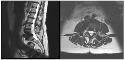 Biomedical Science &, Research Biomedical Science &, Research