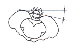 Biomedical Science &, Research Biomedical Science &, Research