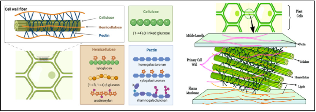 Biomedical Science &, Research Biomedical Science &, Research