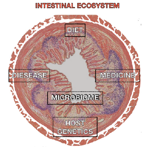 Biomedical Science &, Research Biomedical Science &, Research
