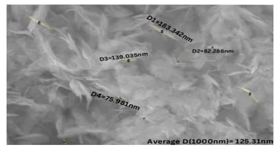 Biomedical Science &, Research Biomedical Science &, Research