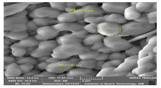 Biomedical Science &, Research Biomedical Science &, Research
